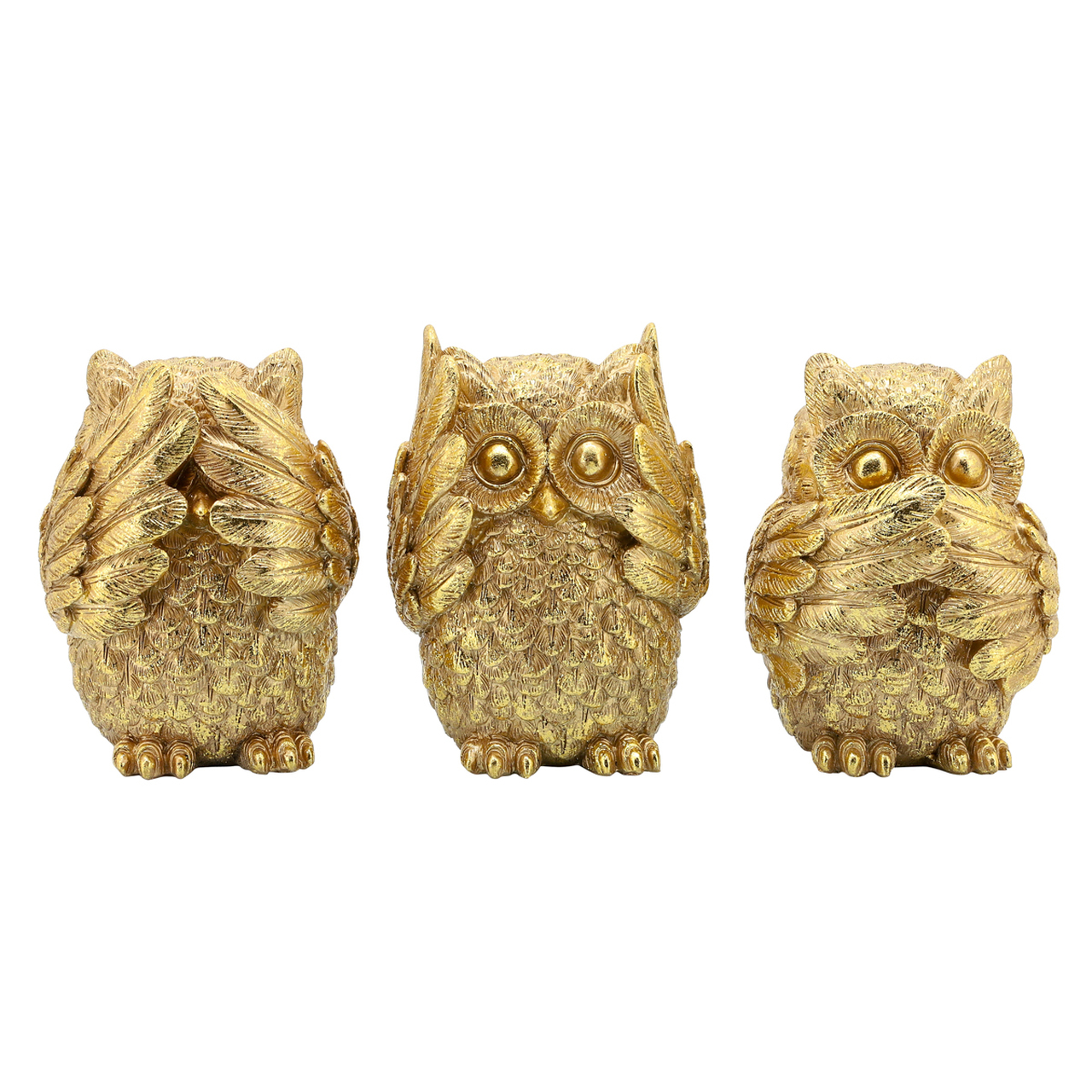 Hear, Speak, See Owls